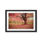 Wind and Leaves Framed Art Print Gallery Image 2