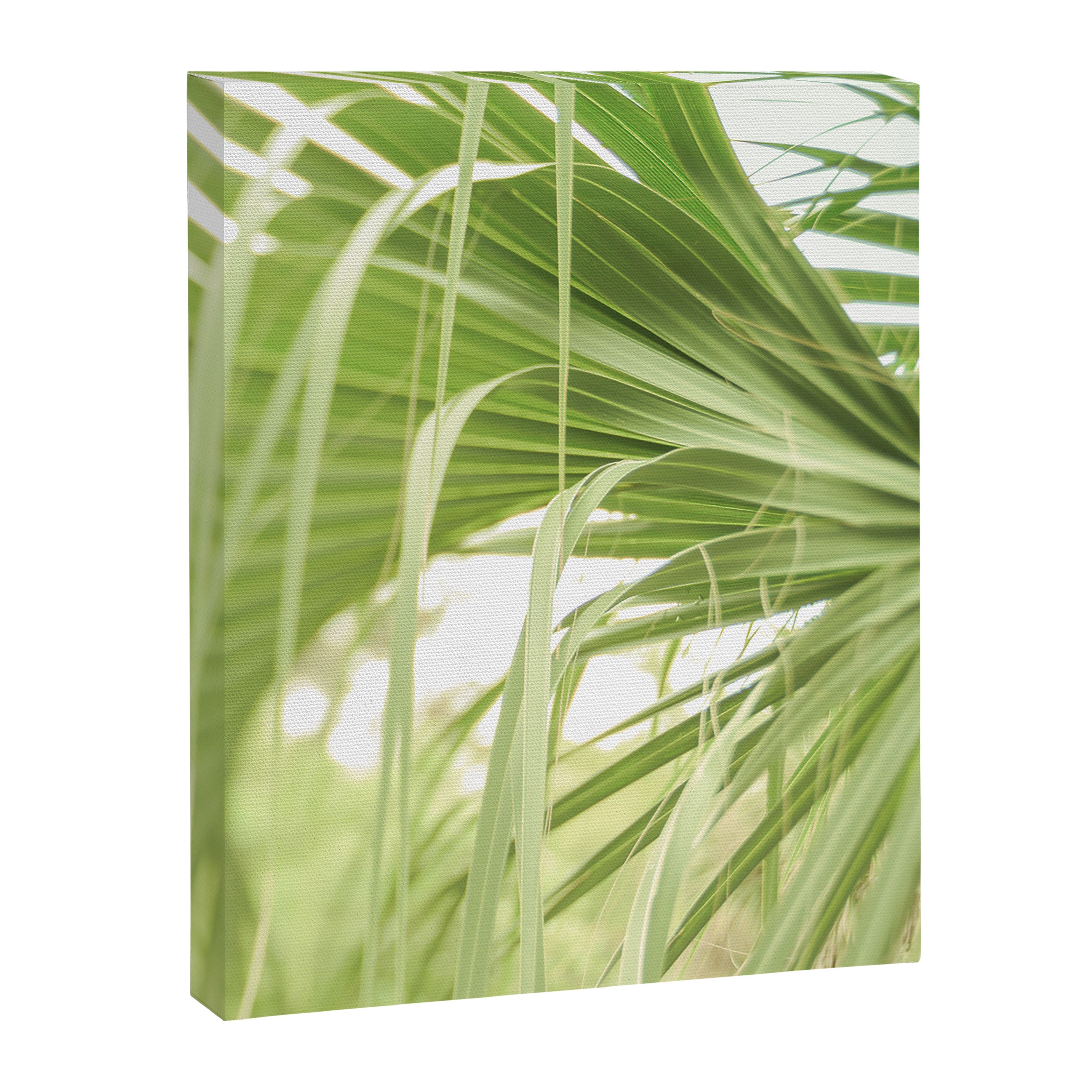 Windblown Canvas Print Gallery Image 6