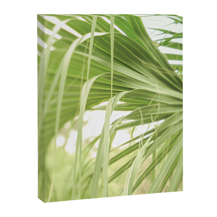 Windblown Canvas Print Gallery Image 1