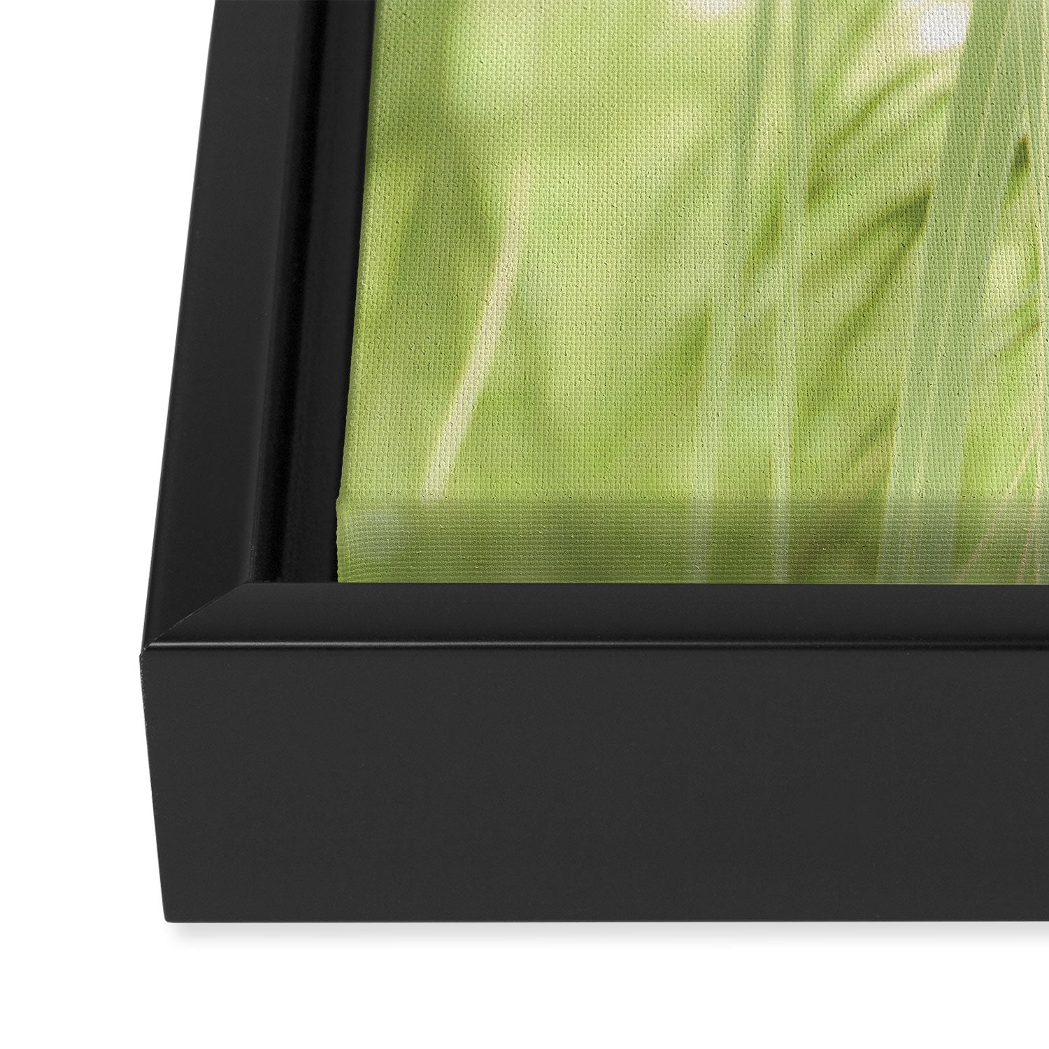 Windblown Framed Canvas Print Gallery Image 3