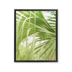 Windblown Framed Canvas Print Gallery Image 6
