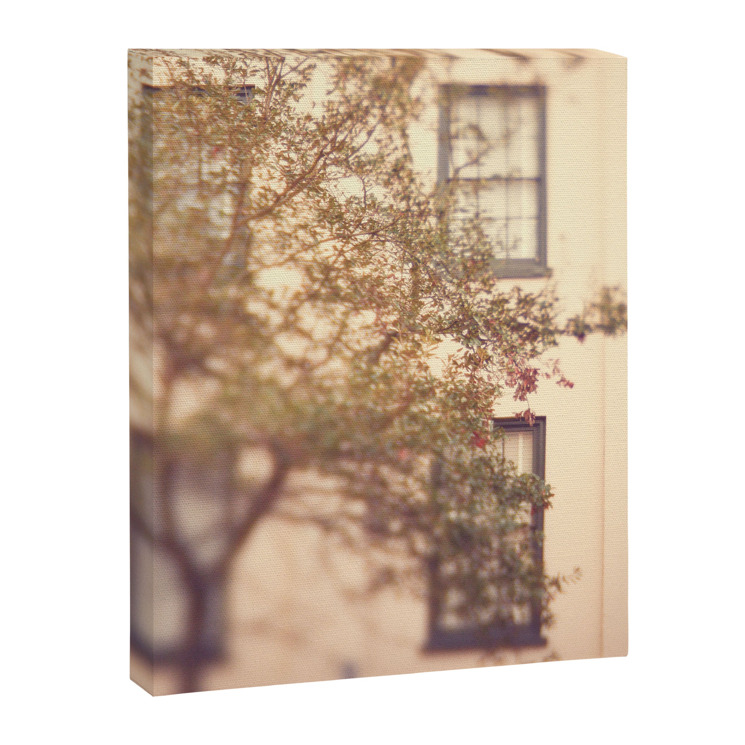 Window Shopping Savannah Georgia architecture travel photograph Canvas Print Gallery Image 6