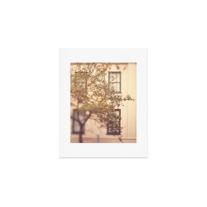 Window Shopping Savannah Georgia architecture travel photograph Art Print Gallery Image 1