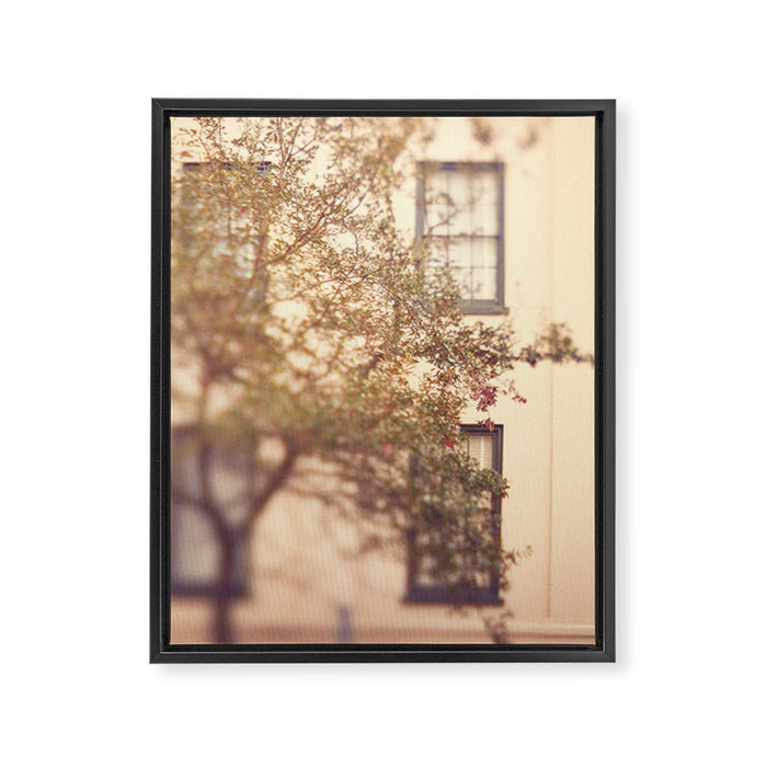 Window Shopping Savannah Georgia architecture travel photograph Framed Canvas Print Gallery Image 1