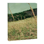 Windswept Canvas Print Gallery Image 6