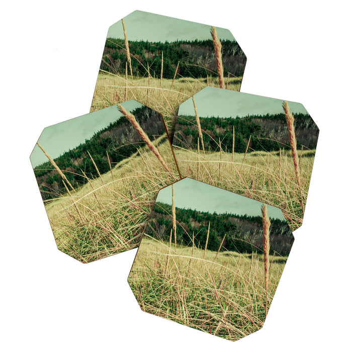 Windswept Coaster Gallery Image 1