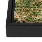 Windswept Framed Canvas Print Gallery Image 3
