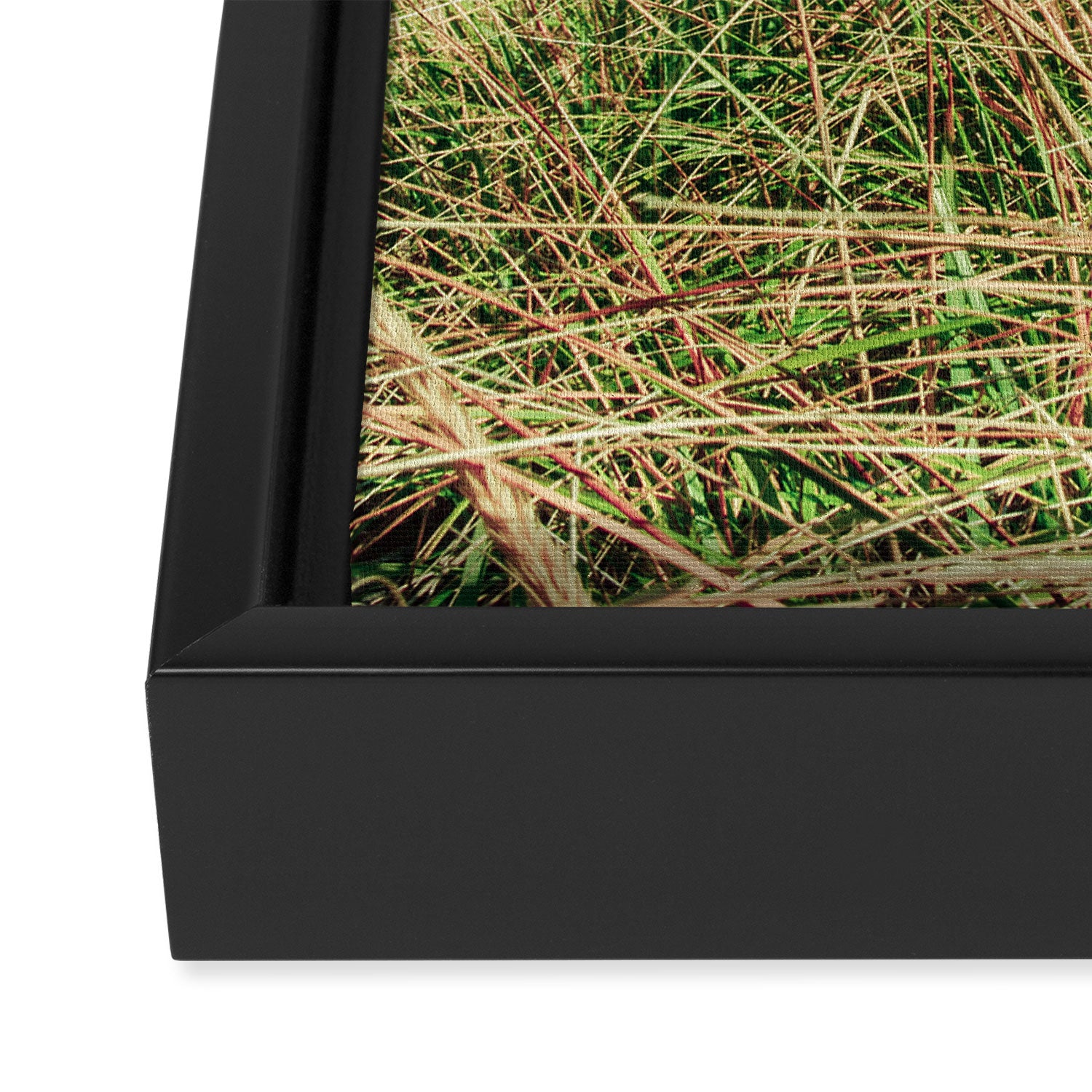 Windswept Framed Canvas Print Gallery Image 3