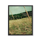 Windswept Framed Canvas Print Gallery Image 6