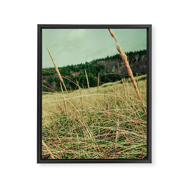 Windswept Framed Canvas Print Gallery Image 6