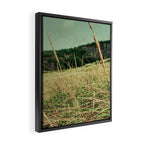 Windswept Framed Canvas Print Gallery Image 2