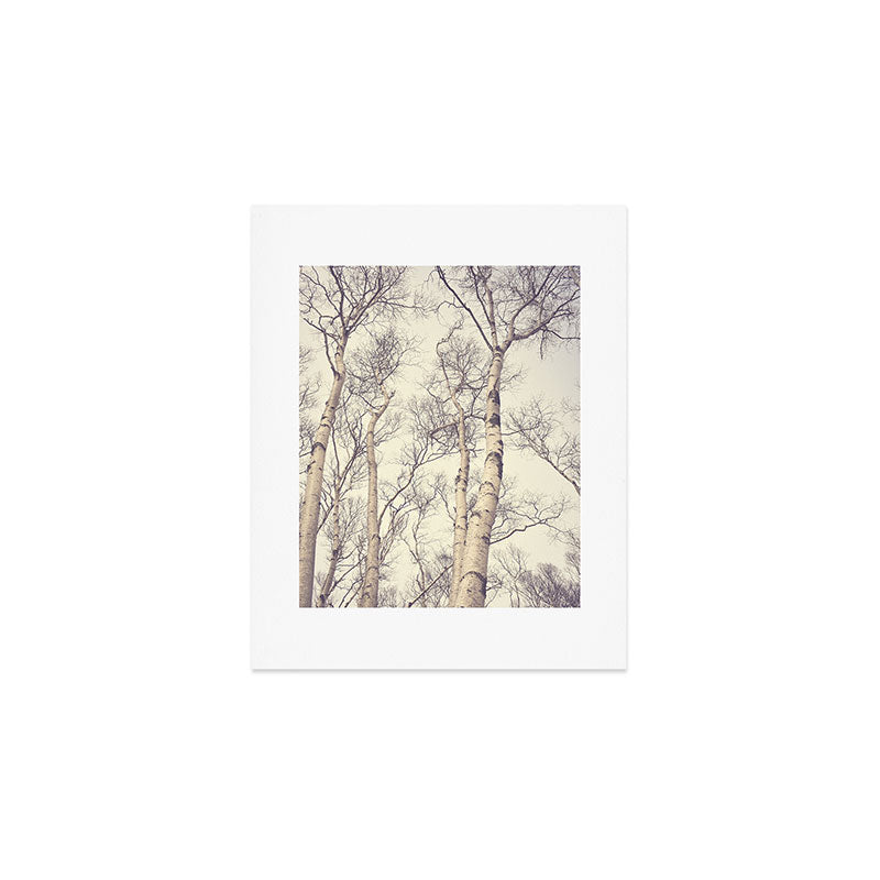Winter Birch Trees - Scandinavian decor nature photograph Art Print Gallery Image 1