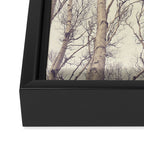 Winter Birch Trees - Scandinavian decor nature photograph Framed Canvas Print Gallery Image 3