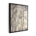 Winter Birch Trees - Scandinavian decor nature photograph Framed Canvas Print Gallery Image 2