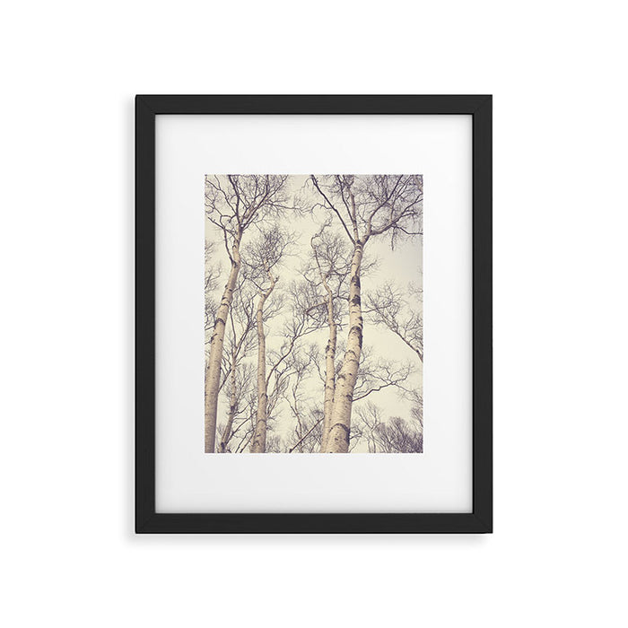 Winter Birch Trees - Scandinavian decor nature photograph Framed Art Print Gallery Image 1