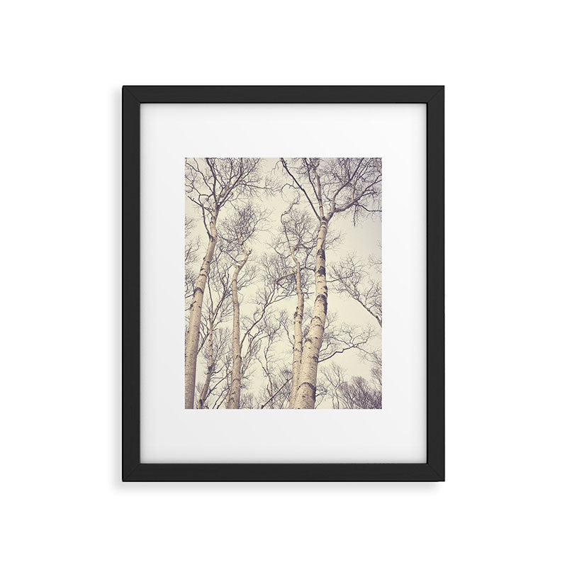 Winter Birch Trees - Scandinavian decor nature photograph Framed Art Print Gallery Image 5