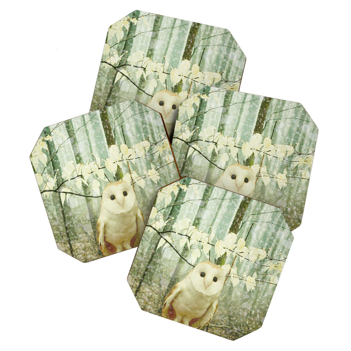 Winter Owl Coaster Gallery Image 1