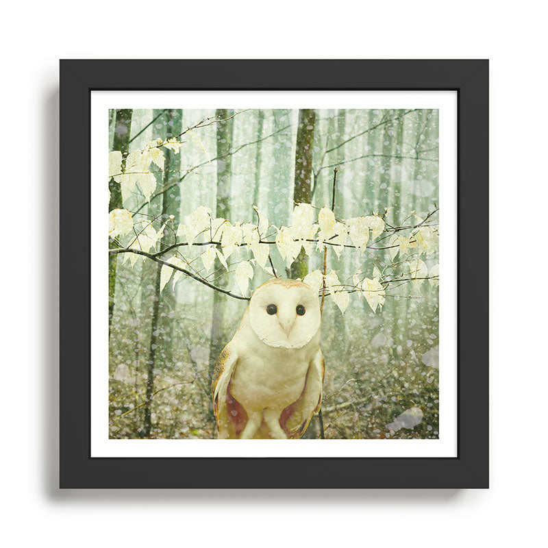 Winter Owl Framed Art Print Gallery Image 1