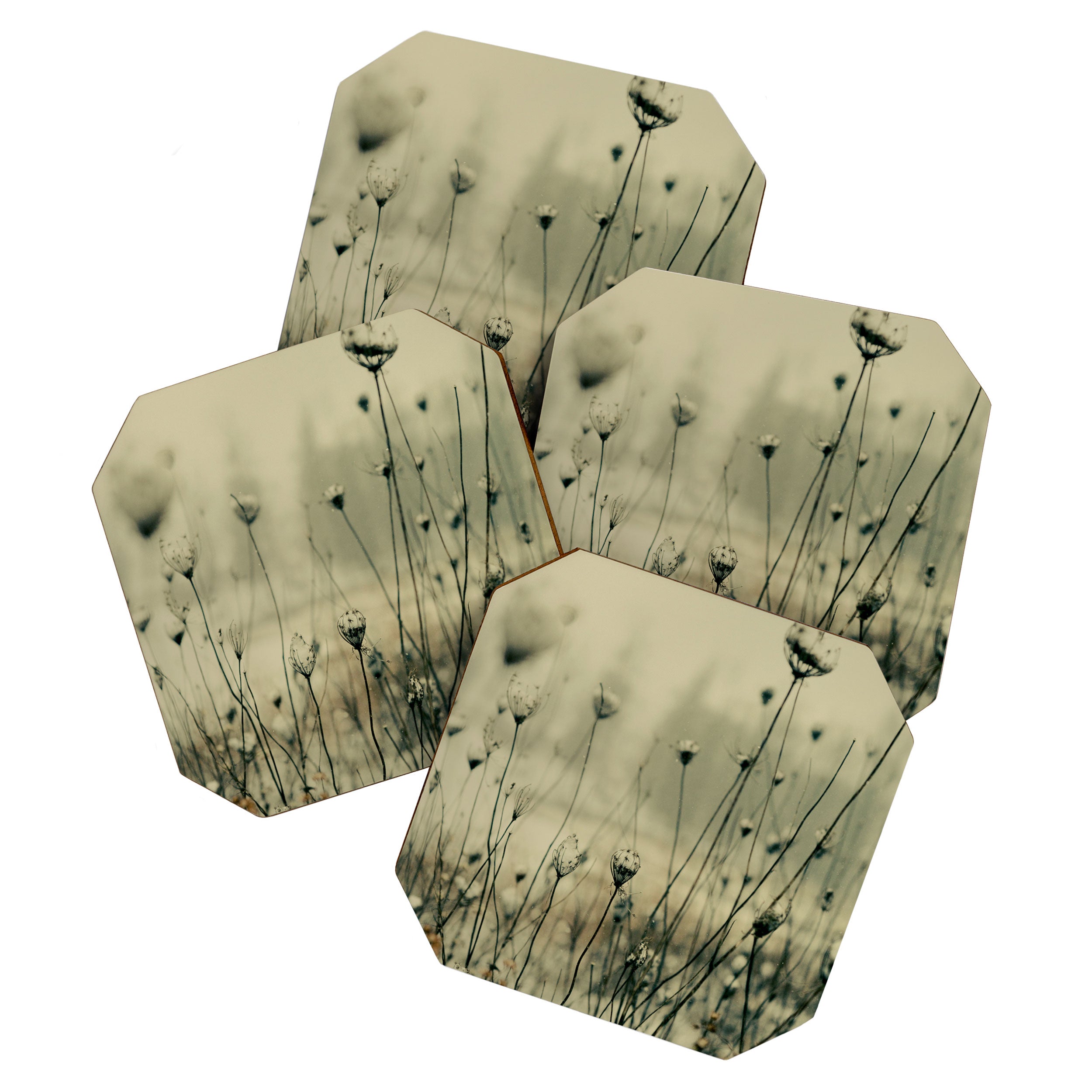 Winter Solitude Coaster Gallery Image 1