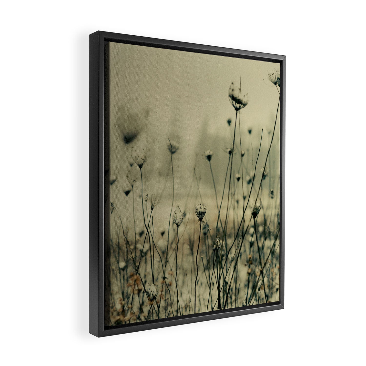 Winter Solitude Framed Canvas Print Gallery Image 2