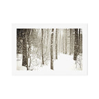 Wintry Mix Art Print Gallery Image 1
