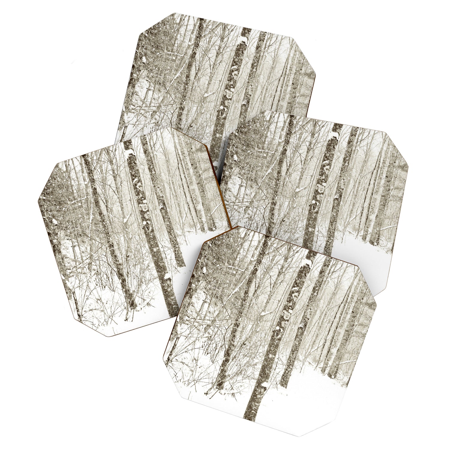 Wintry Mix Coaster Gallery Image 1