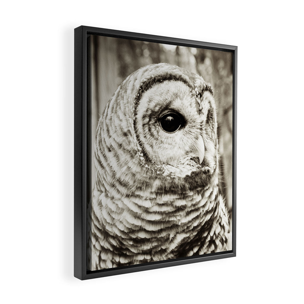 Wise Old Owl Framed Canvas Print Gallery Image 2