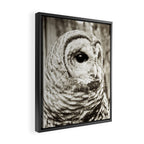 Wise Old Owl Framed Canvas Print Gallery Image 2
