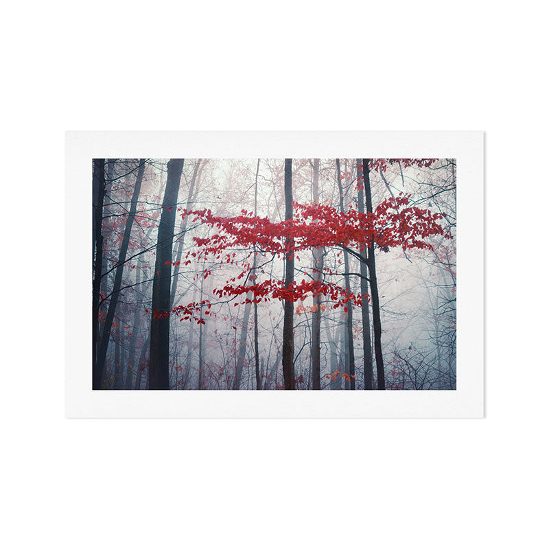 Woodland Fantasy Art Print Gallery Image 1