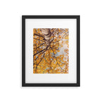 Yellow Autumn Birch Tree in the Maine Woods Framed Art Print Gallery Image 5