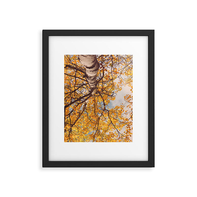 Yellow Autumn Birch Tree in the Maine Woods Framed Art Print Gallery Image 5