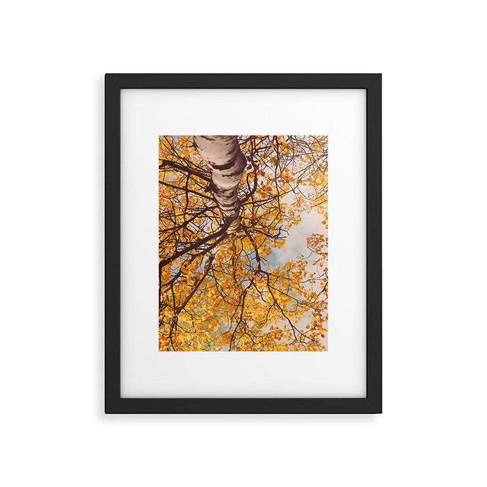 Yellow Autumn Birch Tree in the Maine Woods Framed Art Print Gallery Image 1