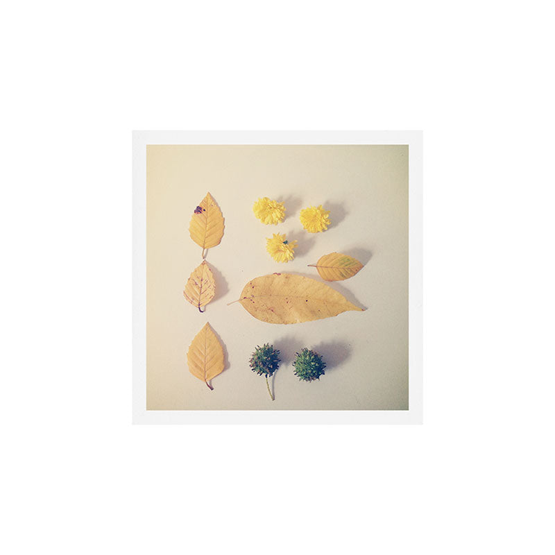 Yellow Autumn Collection Art Print Gallery Image 1