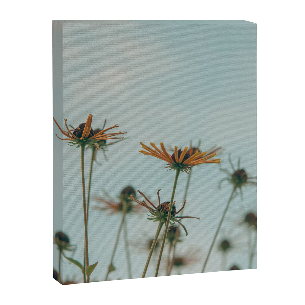 yellow flowers - happy botanical floral art Canvas Print Gallery Image 6
