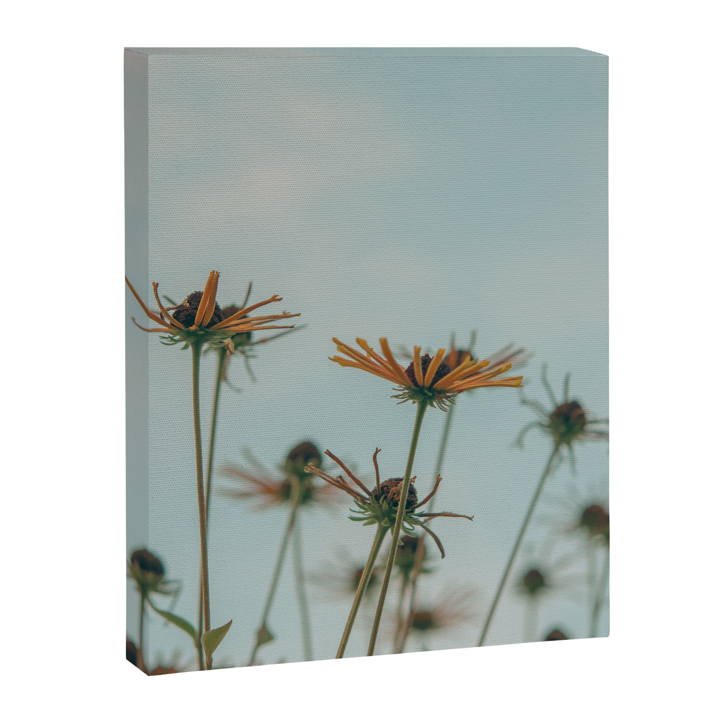 yellow flowers - happy botanical floral art Canvas Print Gallery Image 6