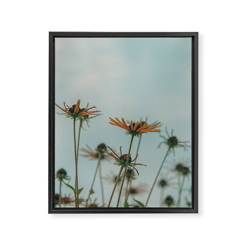 yellow flowers - happy botanical floral art Framed Canvas Print Gallery Image 6