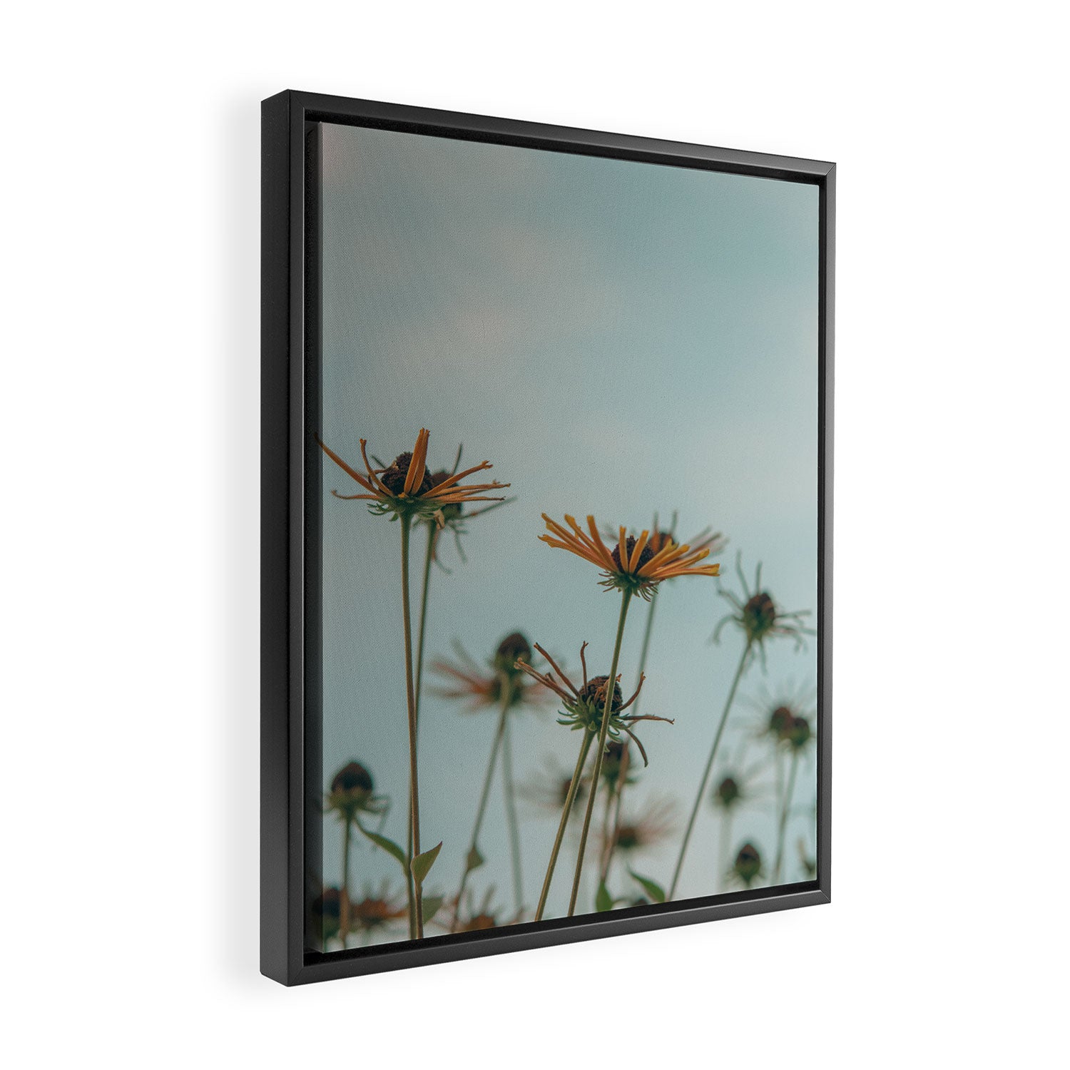 yellow flowers - happy botanical floral art Framed Canvas Print Gallery Image 2