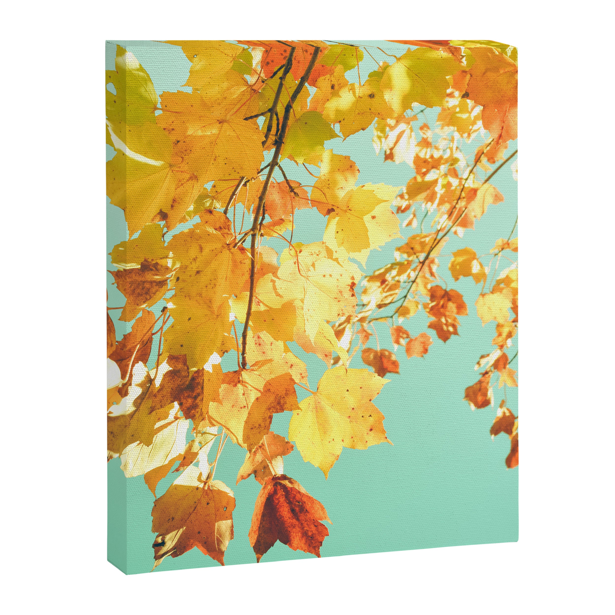 Yellow Leaves - autumn fall color nature photograph Canvas Print Gallery Image 6