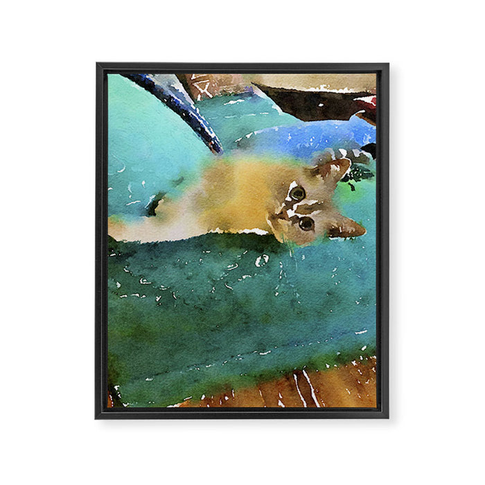 Zoe the Cat Framed Canvas Print Gallery Image 1