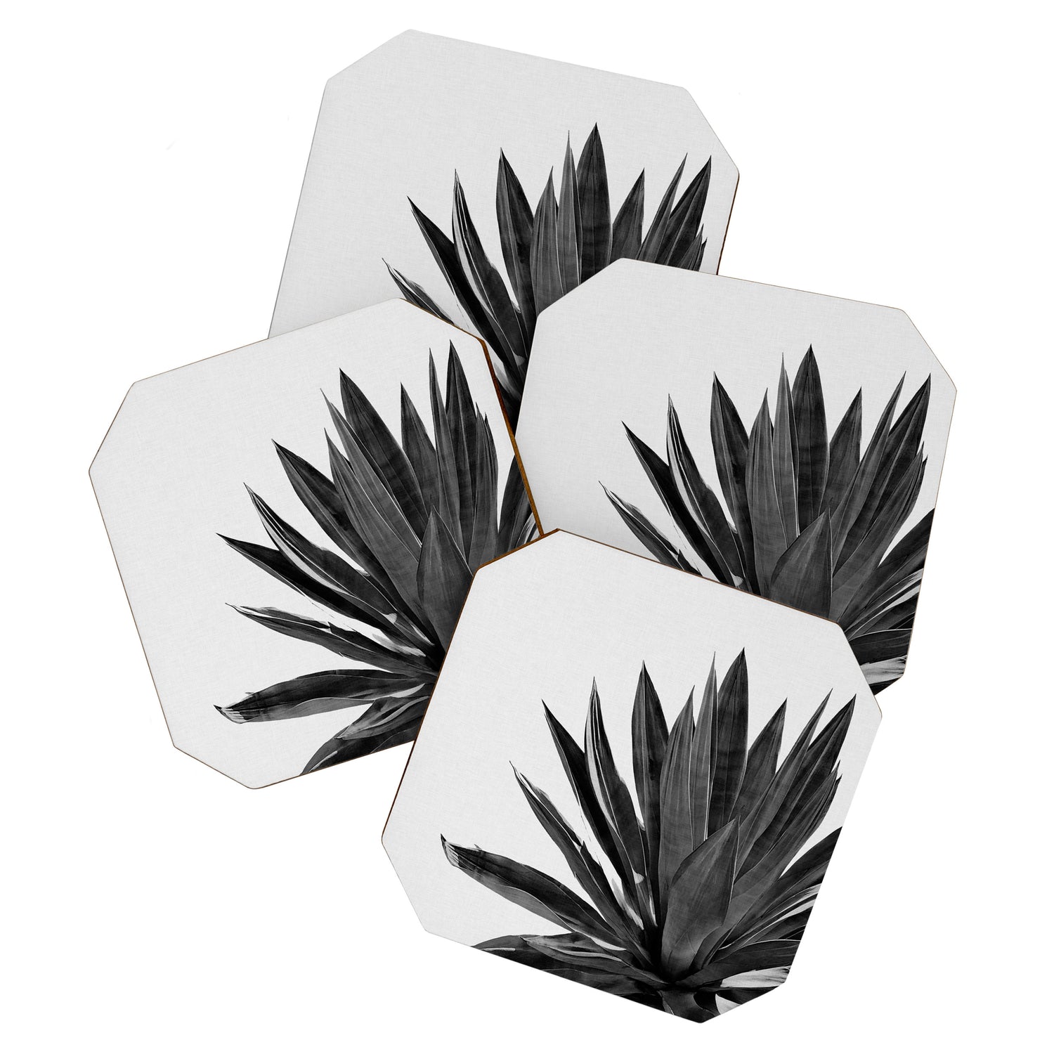 Agave Cactus Black & White Coaster Gallery Image 1