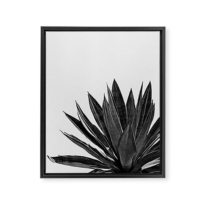 Agave Cactus Black & White Framed Canvas Print Gallery Image 1
