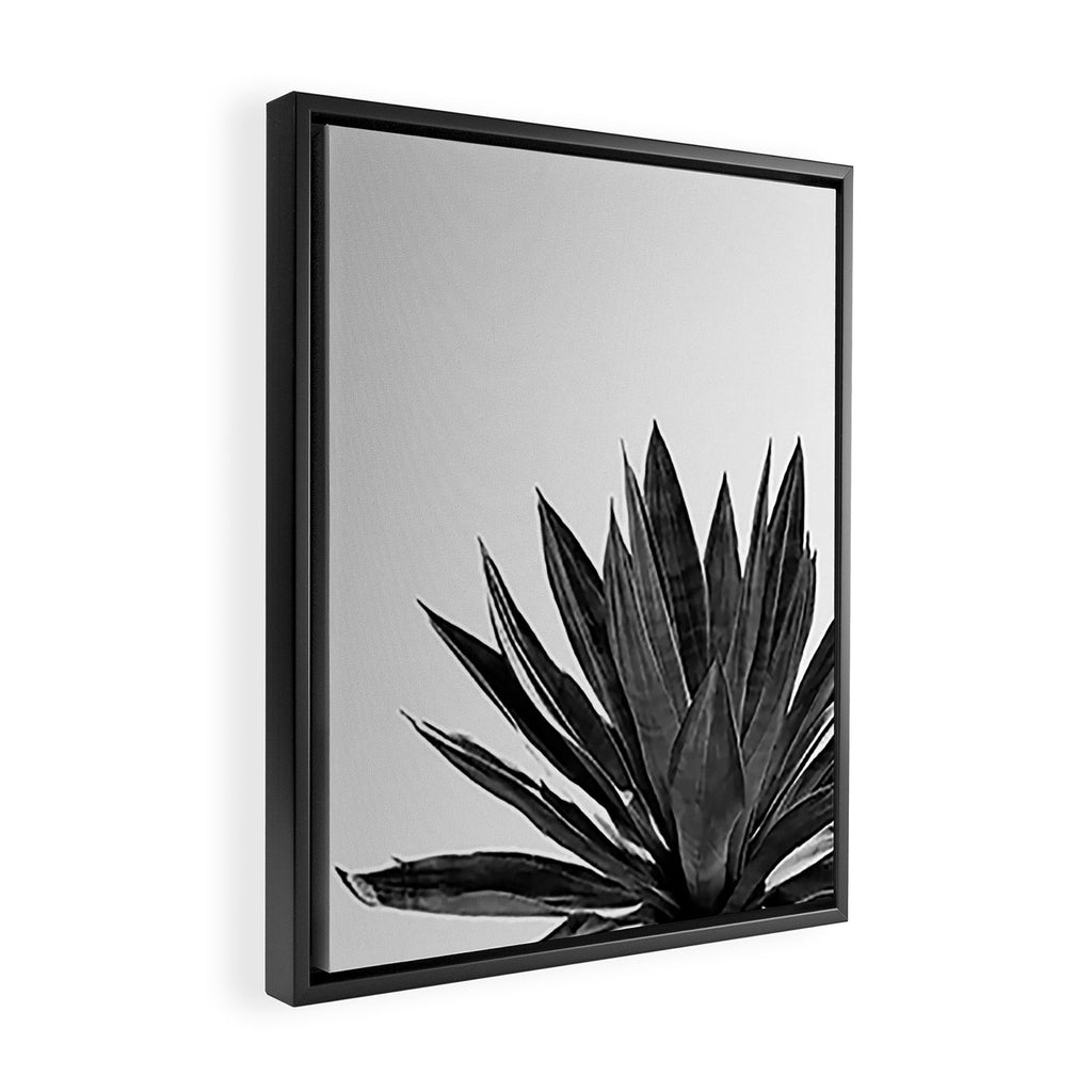 Agave Cactus Black & White Framed Canvas Print Gallery Image 2