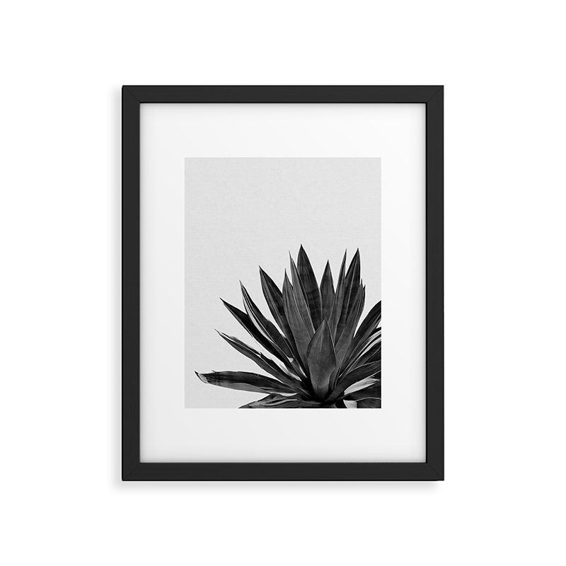 Agave Cactus Black & White Framed Art Print Gallery Image 5