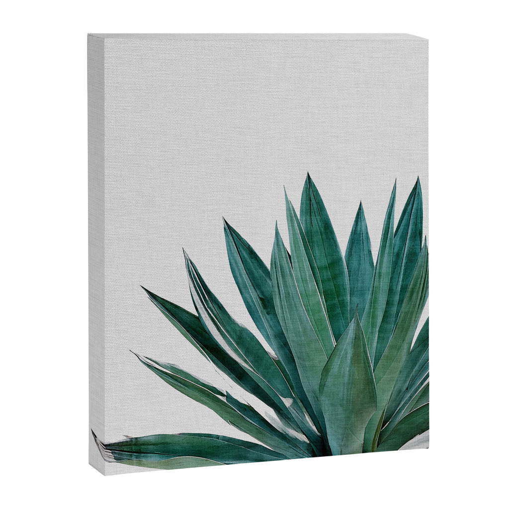 Agave Cactus Canvas Print Gallery Image 6