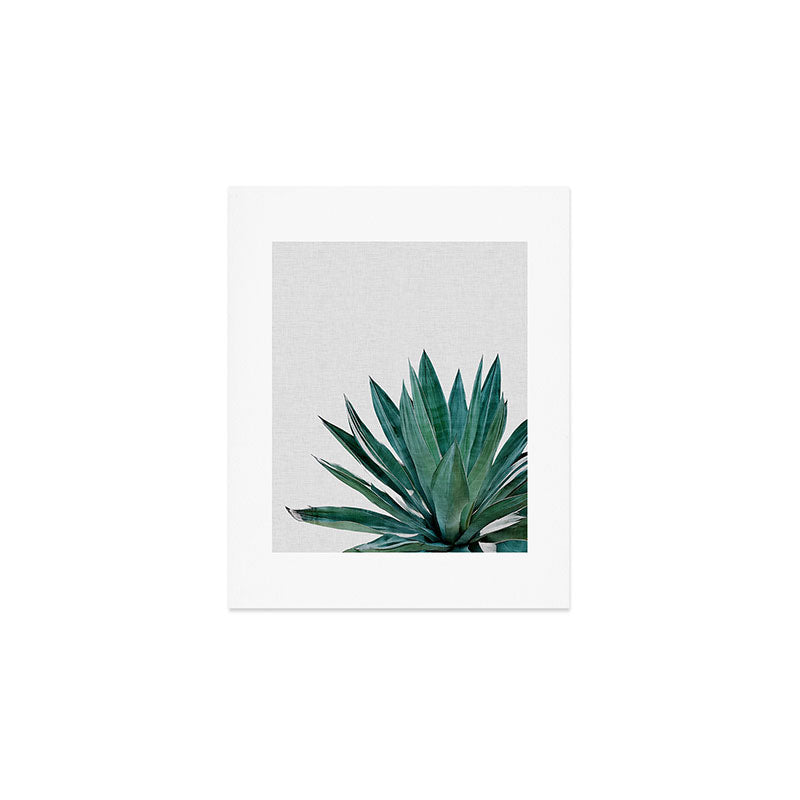 Agave Cactus Art Print Gallery Image 1