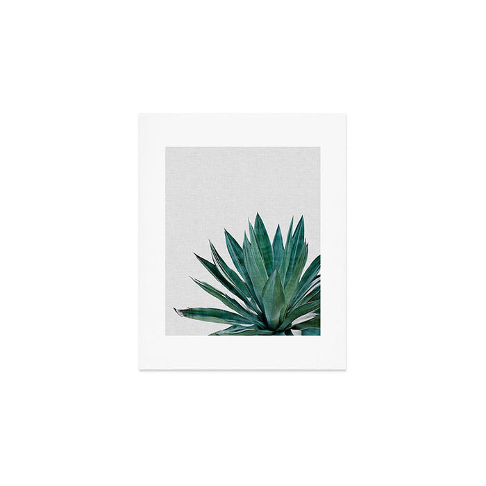 Agave Cactus Art Print Gallery Image 1