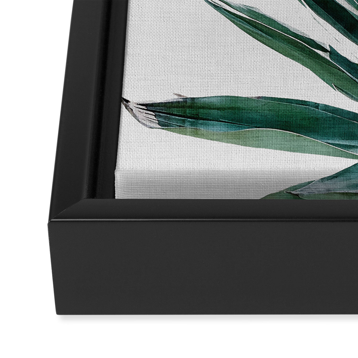 Agave Cactus Framed Canvas Print Gallery Image 3