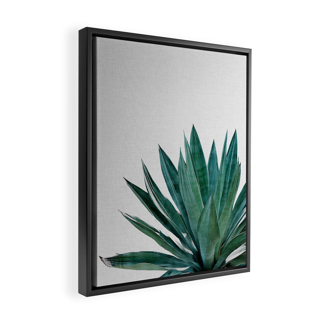 Agave Cactus Framed Canvas Print Gallery Image 2