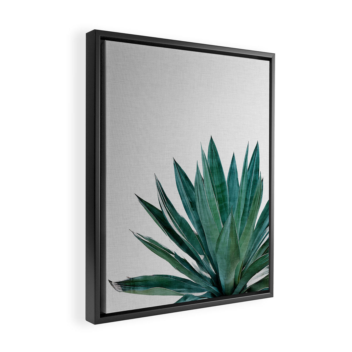 Agave Cactus Framed Canvas Print Gallery Image 2
