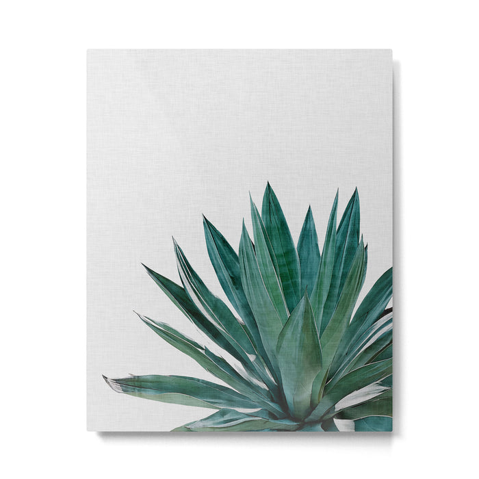 Agave Cactus Metal Print Gallery Image 1